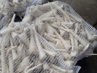 Venderé un buen perejil blanco después de lavar la