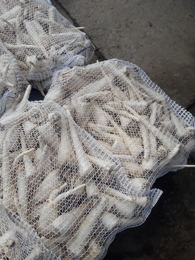 Venderé un buen perejil blanco después de lavar la cantidad de camiones
