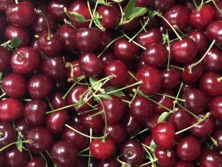 Vendo cerezas muy sabrosas, gran cantidad, huerto en Iasi.