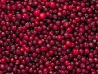 Grosella roja congelada (cranberry). Clase A Aronia negra silvestre