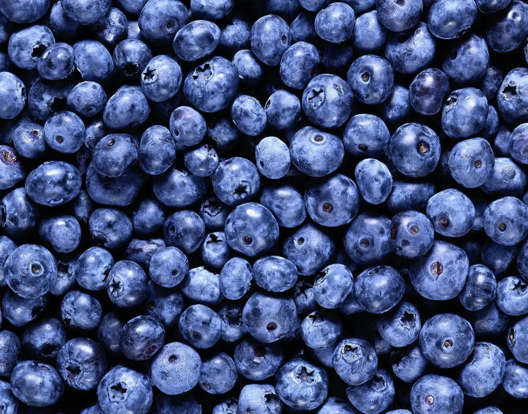 Arándanos silvestres congelados