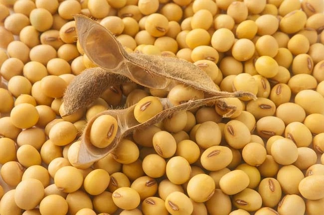 Soja OMG de origen ucraniano, Humedad hasta 12%, Proteína 36-38%, Impurezas 2%, Envasado en BigBags, Entrega DAP