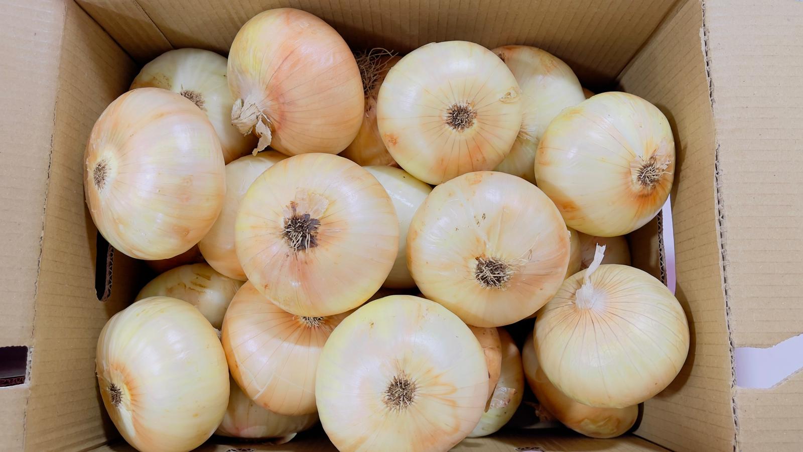 Siéntase libre de cooperar, cooperación permanente entregas de camiones completos 24 toneladas Polonia