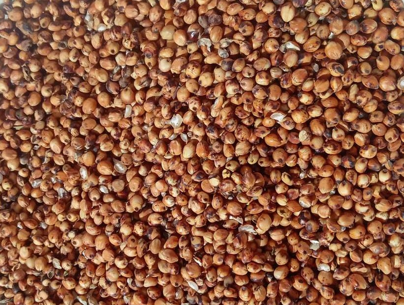 Ofrecemos sorgo rojo, 232 tm, ubicado en la parte suroeste de la región de Odessa