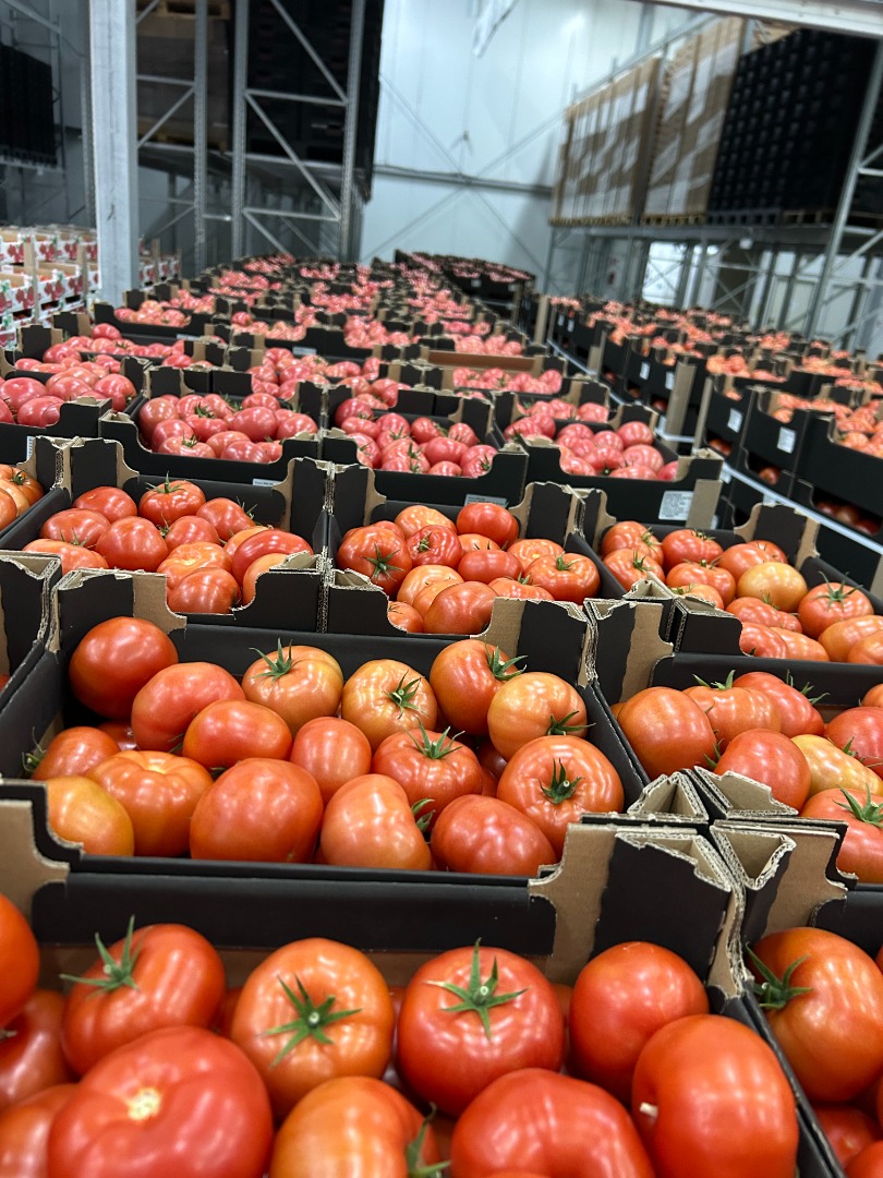 Ofrecemos envíos de patatas y otras verduras procedentes de Polonia (repollo, zanahorias, cebollas)