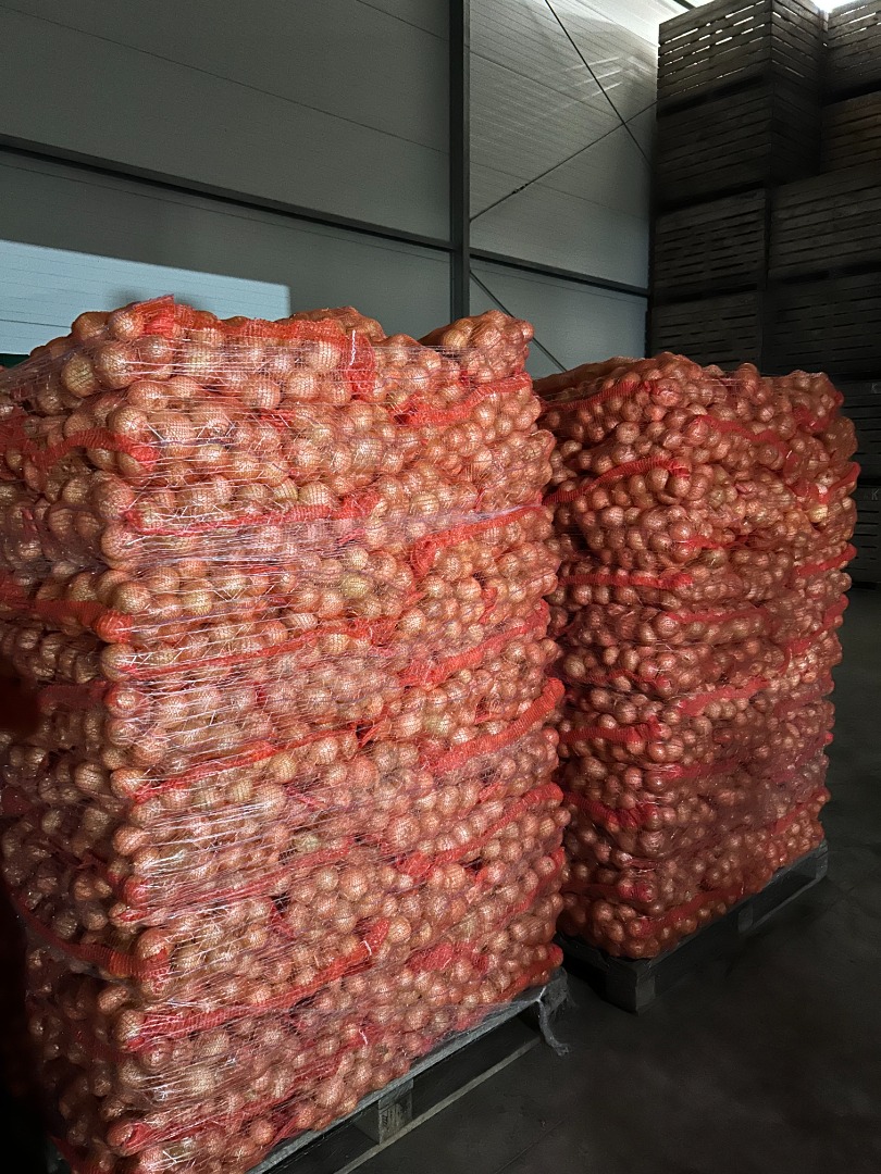 Ofrecemos envíos de patatas y otras verduras desde Polonia (repollo, zanahorias, cebollas)