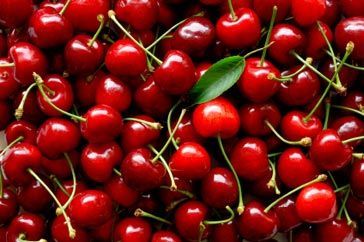 Vendemos 50-100 T cerezas