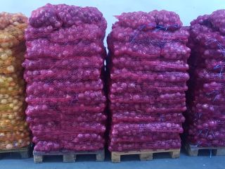 Venta de cebollas blancas y rojas. Precio negociable