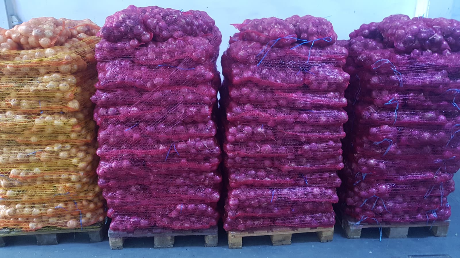 Venta de cebollas blancas y rojas