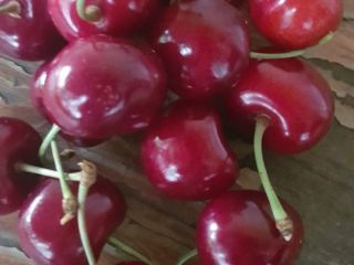 Venderé cerezas de Moldavia de la variedad Moldavian Multi-fruit,