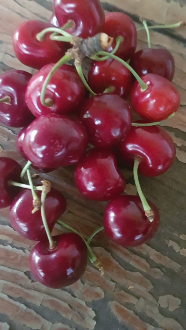 Venderé cerezas de Moldavia de la variedad Moldavian Multi-fruit, Regina, Korgia
