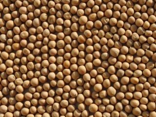 Guisantes amarillos a la venta con entrega! Whatsapp, Viber.