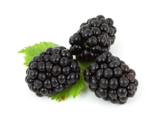 Venta de 4.0 hectáreas de moras. Hungría, 3851. Csobád.