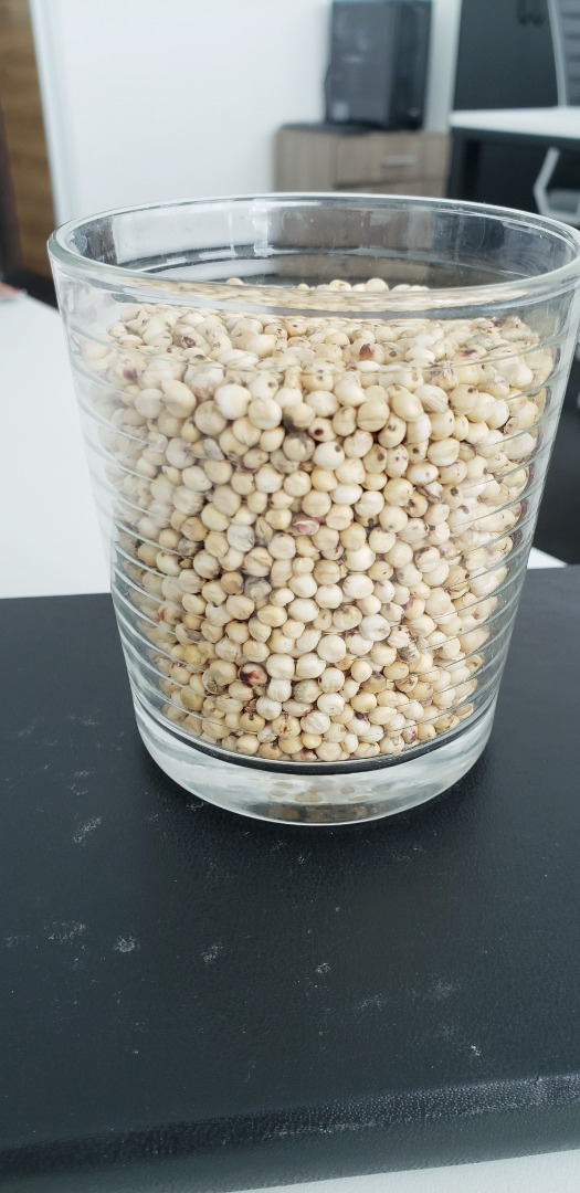 Ofrecemos sorgo blanco de producción propia