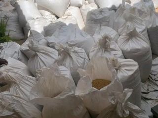 Tenemos una gama de granos de soja a la