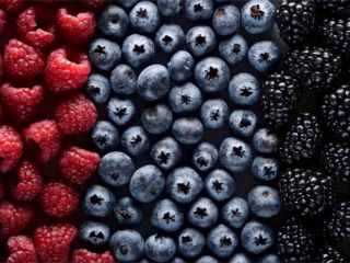 Venta de frutos del bosque, setas y trufas Plantas