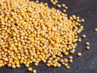 Ofrecemos cereales de alta calidad (alfalfa, festuca, sainfoinЮ, ballico,