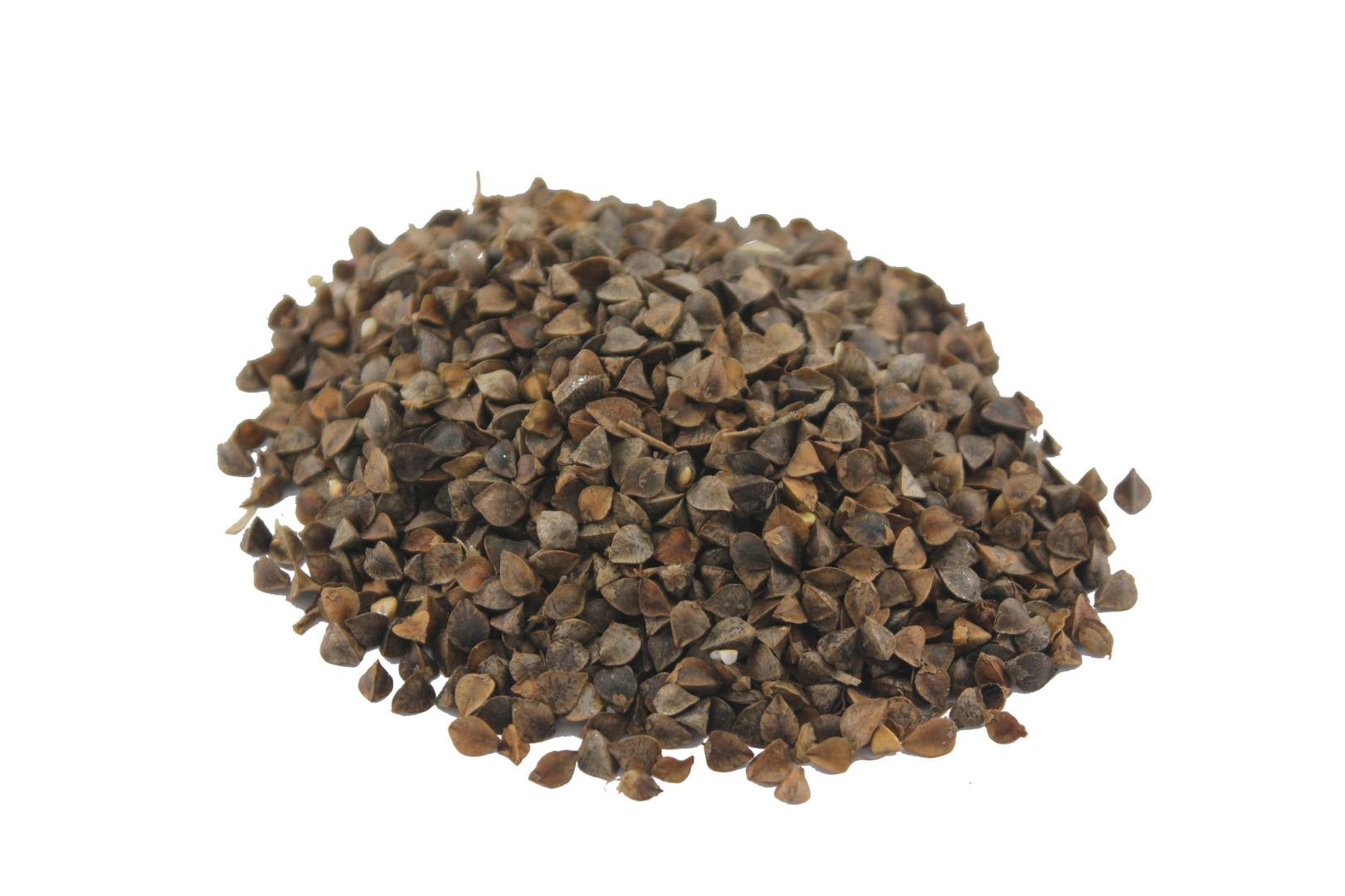 Ofrecemos cereales de alta calidad (alfalfa, festuca, sainfoinЮ, ballico, trébol, phacelia, cardo mariano, hierba timotea, rábano, mostaza, lino, Сoriandro