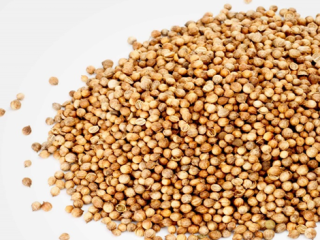 Ofrecemos cereales de alta calidad (alfalfa, festuca, sainfoinЮ, ballico,