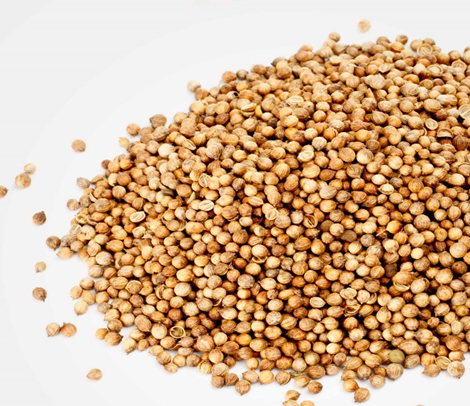 Ofrecemos cereales de alta calidad (alfalfa, festuca, sainfoinЮ, ballico, trébol, phacelia, cardo mariano, hierba timotea, rábano, mostaza, lino, Сoriandro
