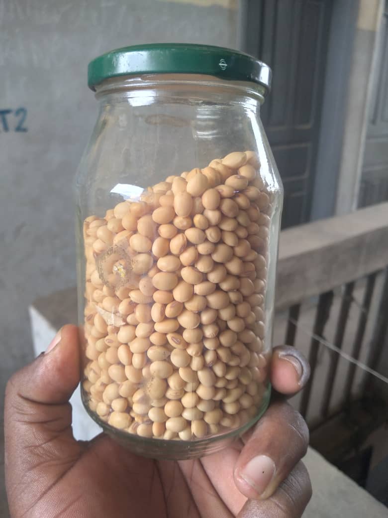 Venta de Semillas de Soja de Alta Calidad LA SOJA es una legumbre que contiene un porcentaje importante de proteínas de alta calidad (en 100 gramos de soja