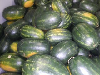 ¡Melones húngaros de primera clase a la venta entre