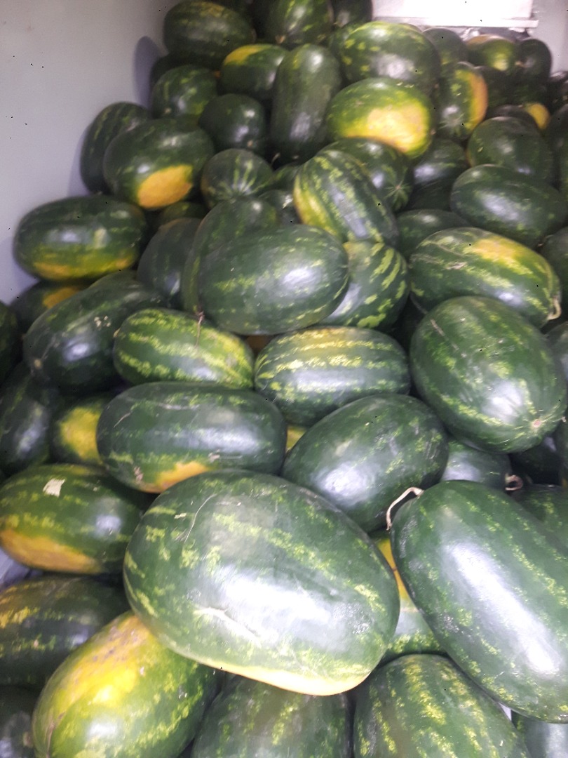 ¡Melones húngaros de primera clase a la venta entre 10 kg y 18 kg! ¡También estoy disponible en WhatsApp, correo electrónico y viber!