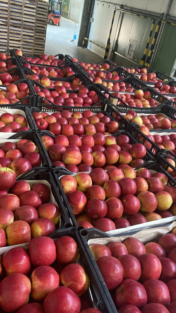 La empresa Fruit TF dedicada a la exportación de frutas y hortalizas, principalmente manzanas, fomenta la cooperación