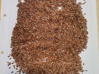 Ofrecemos nuestra propia producción de maíz para la venta