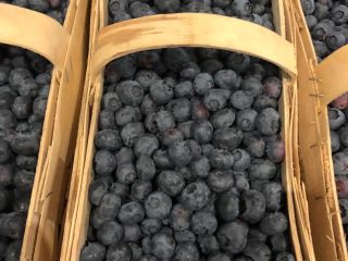 Hola, vendo arándano recién cogido. El fruto es grande