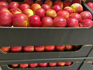 Exportamos manzanas a cadenas de supermercados e importadores europeos.