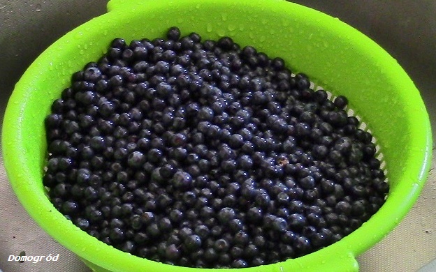 Venderé arándanos puros en las cercanías de Ostrołęka, la posibilidad de entrega