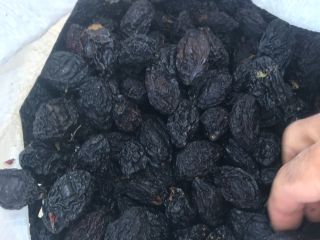 Necesitamos 300 toneladas de ciruelas secas (ciruelas) tamaño grande