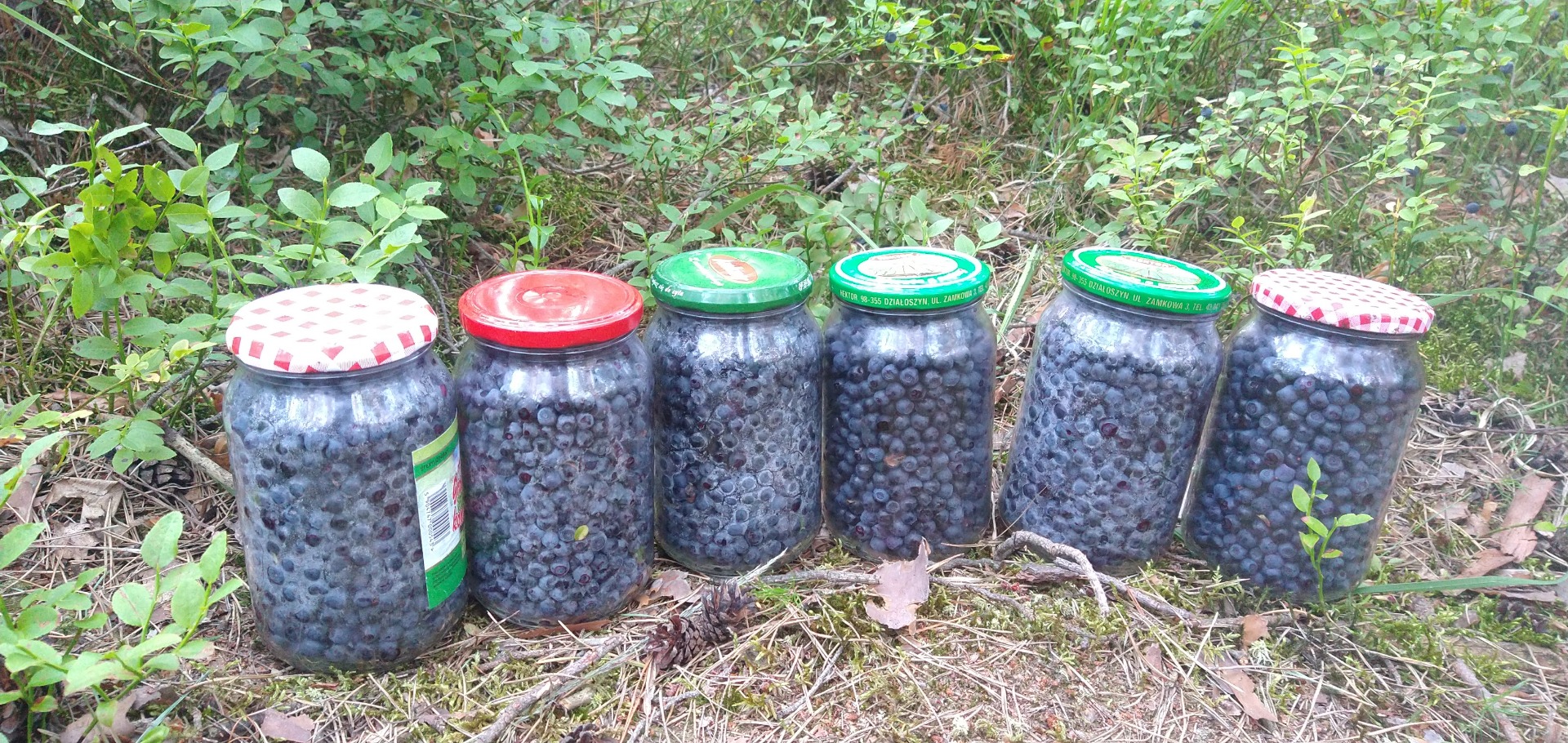 Tomaré el pedido de bayas