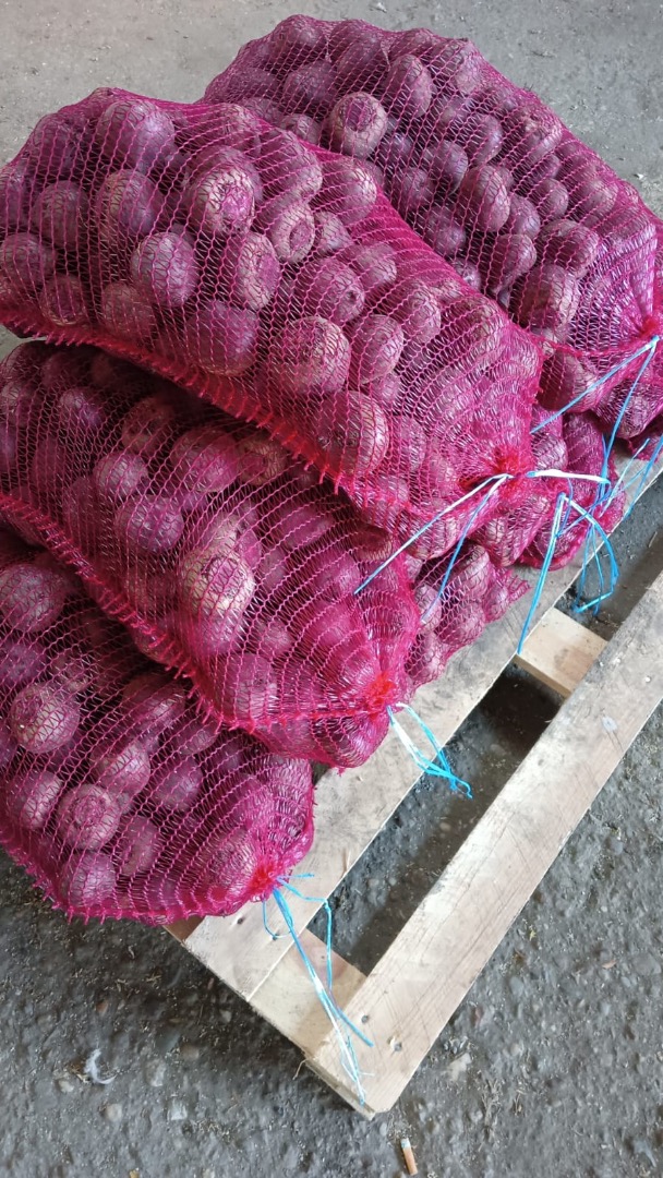 Venderé remolacha, cantidad al por mayor, lavada o no
