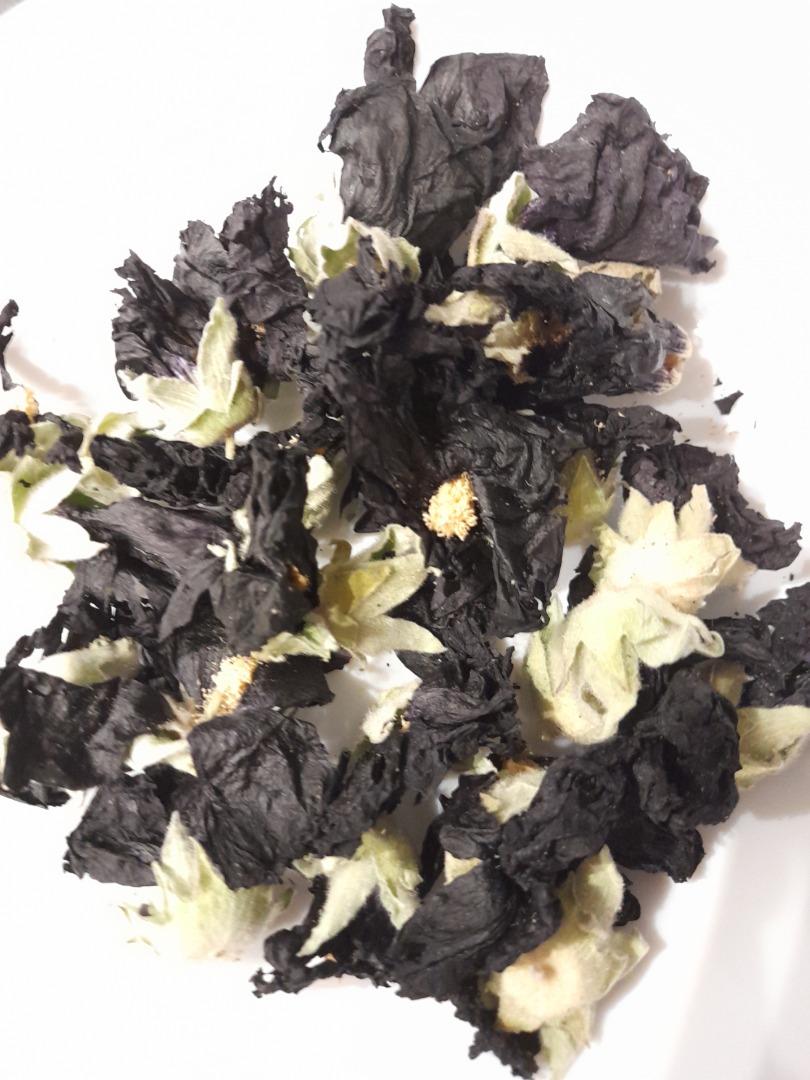 Malvarrosa negra de cultivo de temporada, cosecha 2022