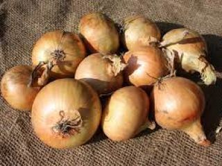 Estamos buscando cebollas amarillas y rojas. Nos gustaría comprar