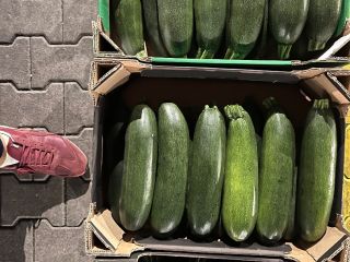 Venderé calabacines en cualquier embalaje, la posibilidad de transporte.