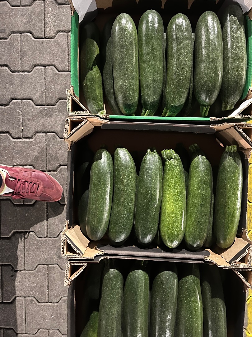 Venderé calabacines en cualquier embalaje, la posibilidad de transporte