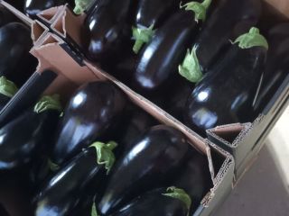 Se puede acordar una cantidad mayor