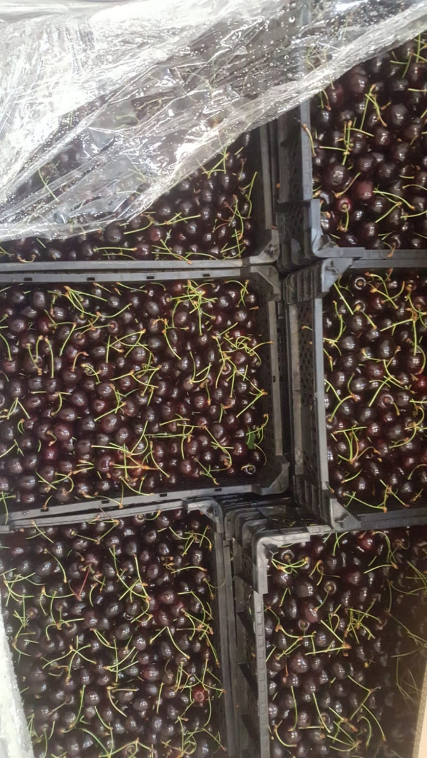 Cereza a la venta: Staccato claro y cordia oscura cantidades al por mayor - cámara frigorífica, 22+ plástico 4,5 kg precio a convenir después de ver la