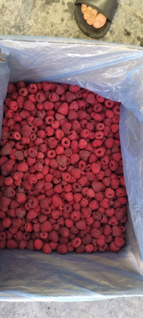 Frambuesa Vilamet 90/10