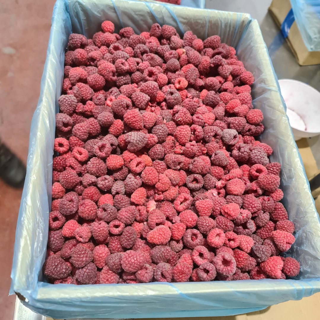 calidad premium --- EXPORTACIÓN Información en Viber, Whatsapp