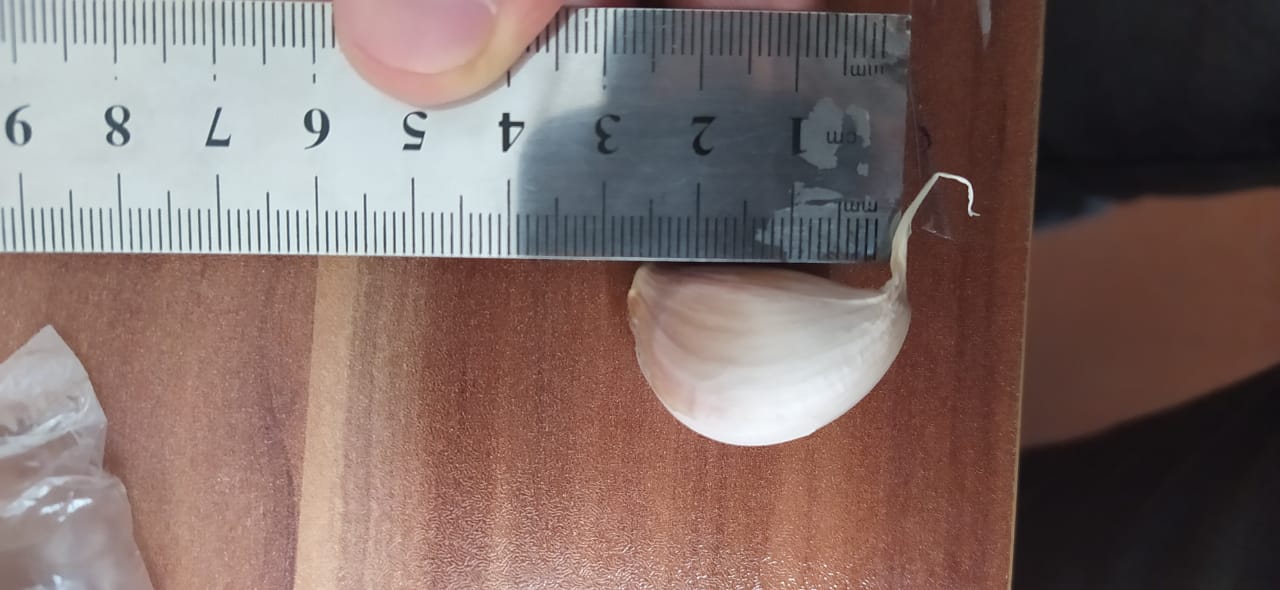 Ajo de alta calidad a un precio asequible
