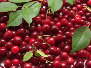 Venderé cerezas recogidas por encargo, posible transporte a Lublin