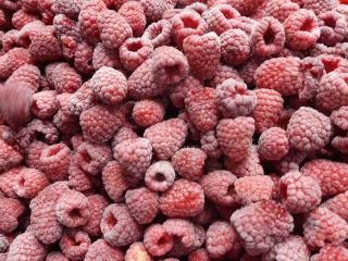Variedad de frambuesa Iqf: Willamette, Calidad: 95/5, Empaque:4×2.5 kg