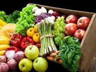 Trabajamos en una variedad de verduras frescas. Con una