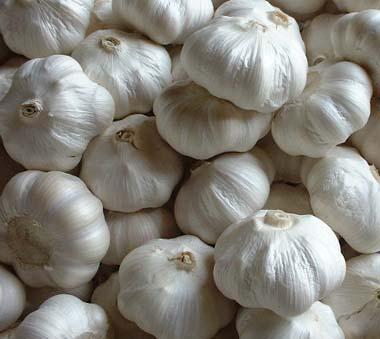 Ajo fresco / congelado de alta calidad de Vietnam 100% orgánico natural Tipo de cultivo Venta al por mayor Caliente 2022 Estilo: Fresco, fresco y congelado
