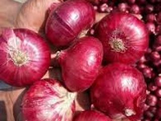 Hecho en Vietnam Producto de agricultura caliente Chalote fresco