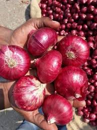 Hecho en Vietnam Producto de agricultura caliente Chalote fresco / seco Color natural Venta al por mayor Venta caliente 2022 Estilo: Fresco, Fresco + Seco